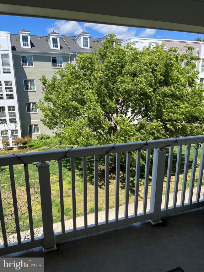 4081 S Four Mile Run Dr unit 401, Arlington, VA 22204 - photo 3