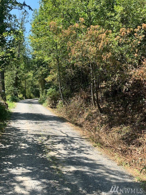 1693 Pebble Beach Trail, Bellingham, WA 98226 - photo 3