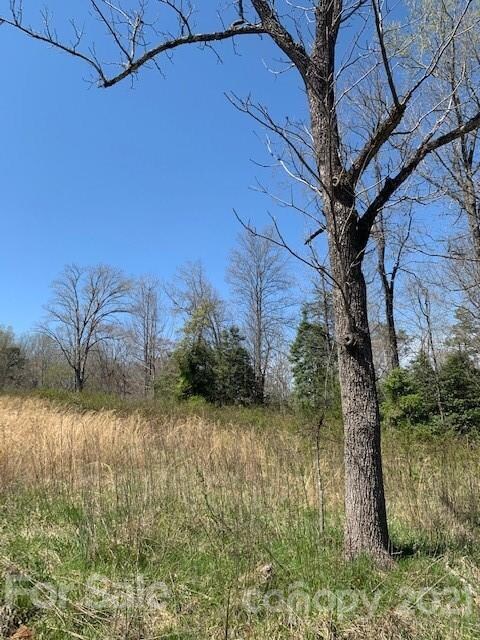 0000 Hanging Rock Ln, Statesville, NC 28625 - photo 3