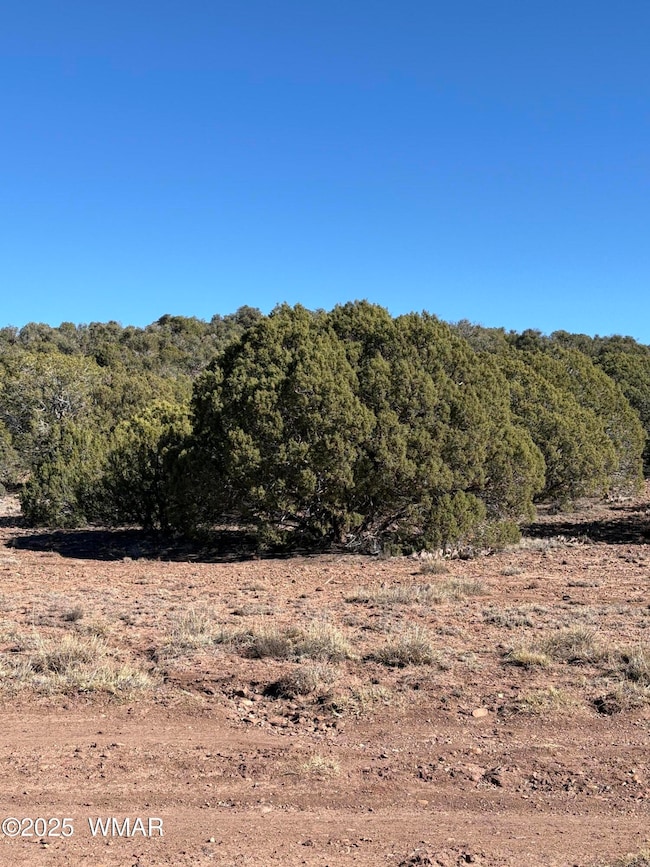 0 N8716 unit NW, Concho, AZ 85924 - photo 5