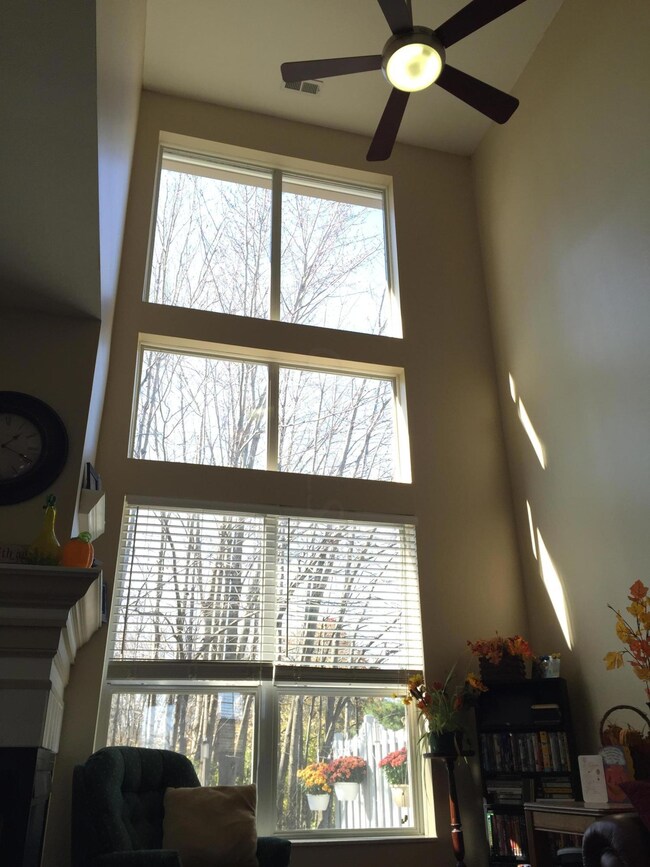 Soaring ceilings