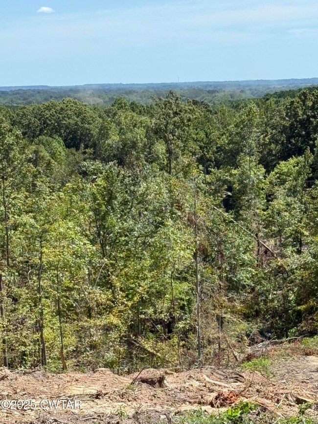 0 Whiskey Ridge Rd, Paris, TN 38242 - photo 7