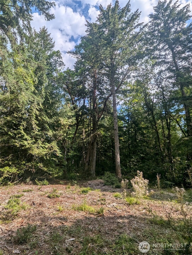 8900 Adams Ln NW, Olympia, WA 98502 - photo 4