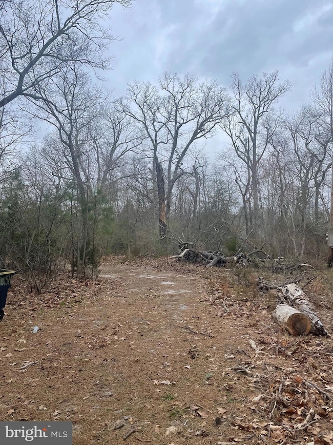 2738 Jackson Rd, Williamstown, NJ 08094 - photo 5