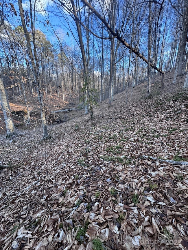 0 Creekside Cir unit 126 CAR4215345, Rutherfordton, NC 28139 - photo 2