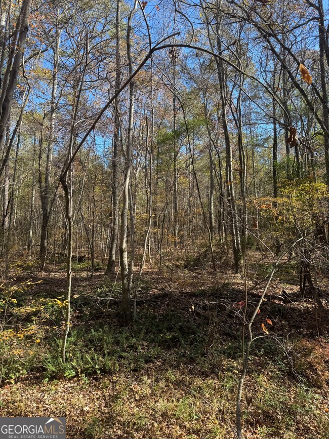 4523 Georgia 18, West Point, GA 31833 - photo 7