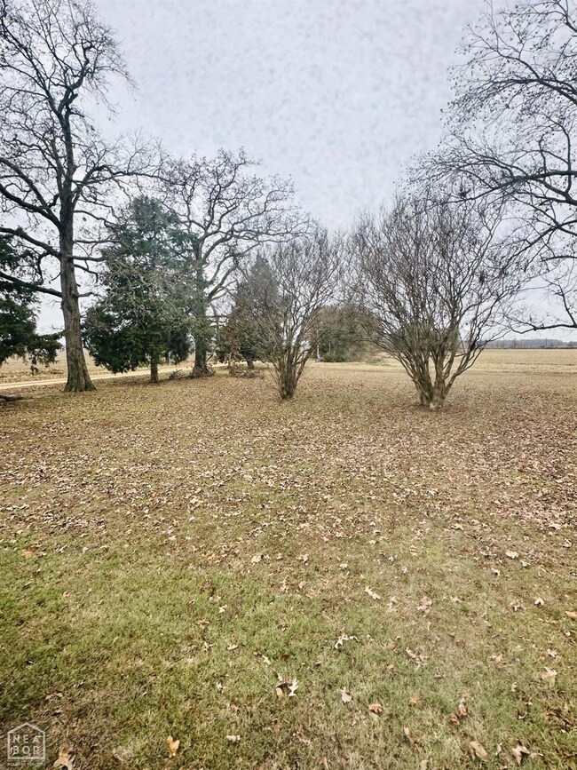 5235 Neil Rd, Fisher, AR 72429 - photo 7