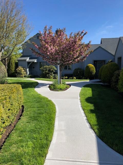 seastrand cherry #2
