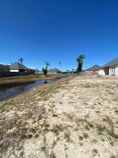 Back of Lot 715 Grey Heron Ln.