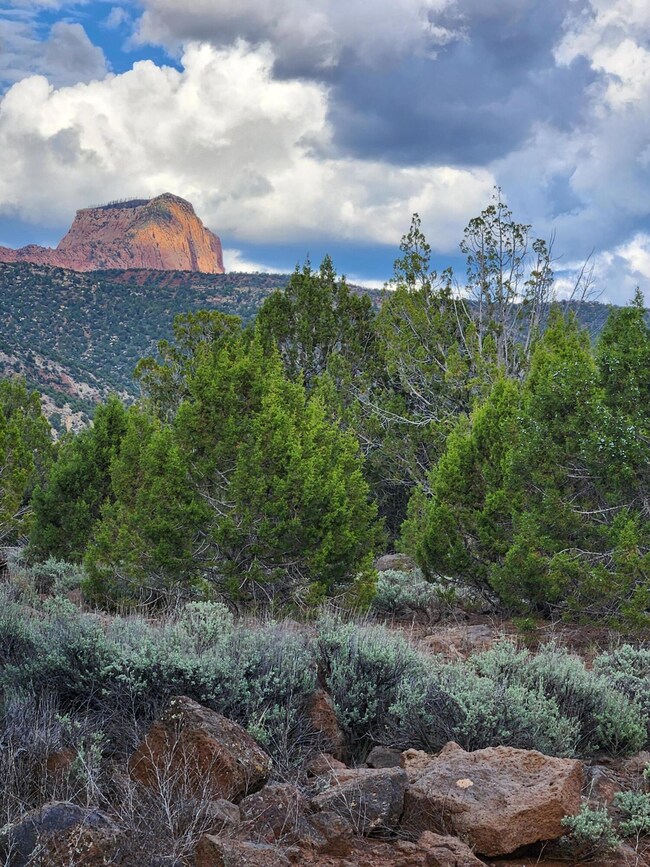 Kolob
