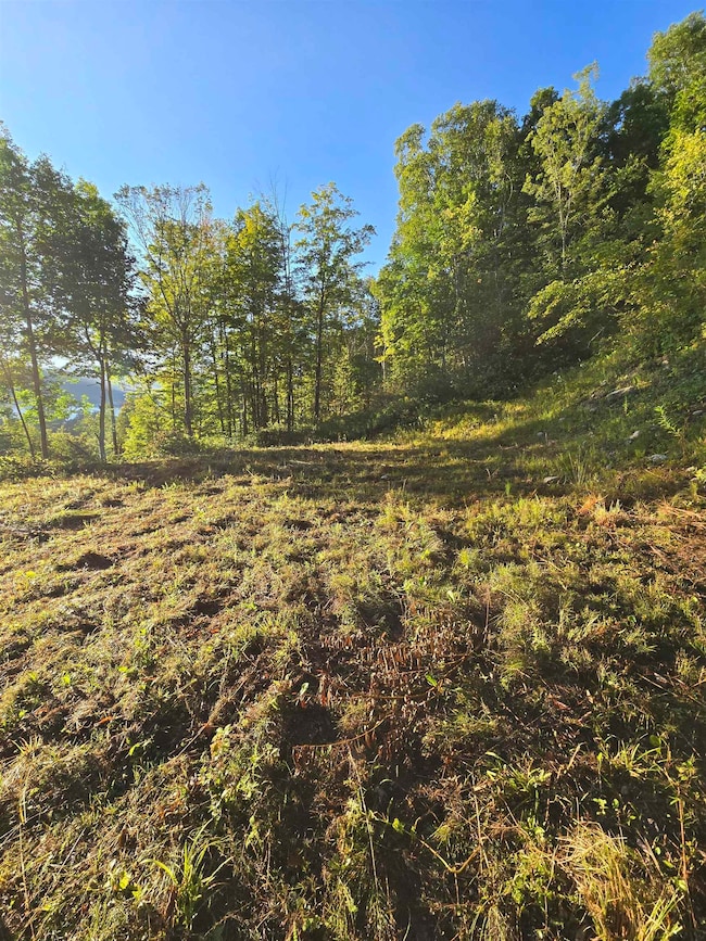 305 Cascade Rd, Danby, VT 05739 - photo 2