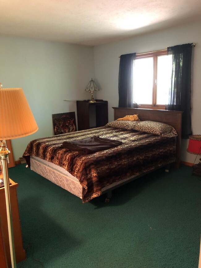 1003 Warren St, Chenoa, IL 61726 - photo 5