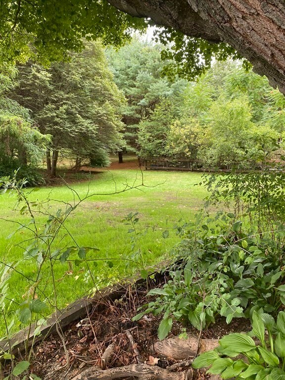 383 Fisher St, Walpole, MA 02081 - photo 7