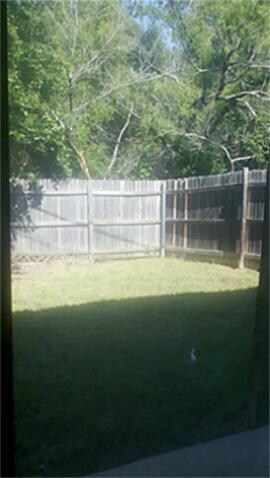 Back yard