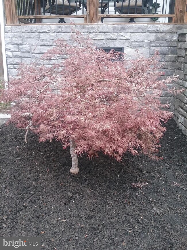 27046 Shannon Mill Dr, Ruther Glen, VA 22546 - photo 3