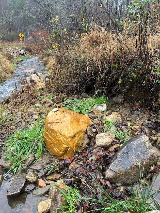 TBD Little Creek Rd, Burnsville, NC 28714 - photo 2
