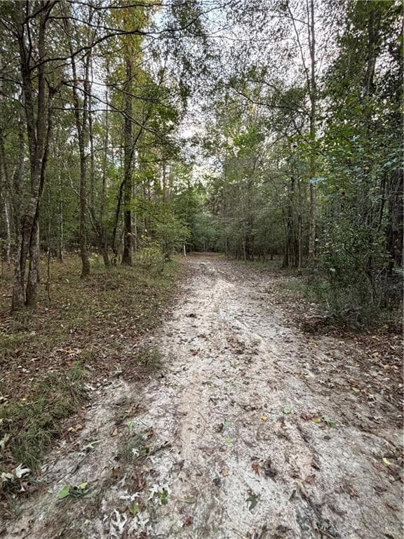 350 Walker Gravel Pit Rd, Dry Prong, LA 71423 - photo 3