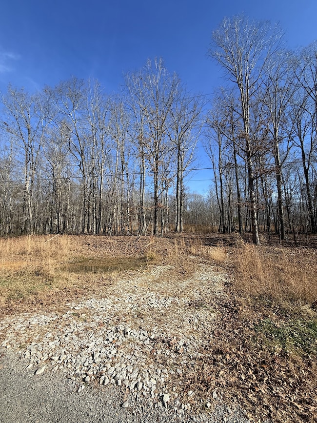 0 Deerwood Dr unit RTC3060905, Sewanee, TN 37375 - photo 3