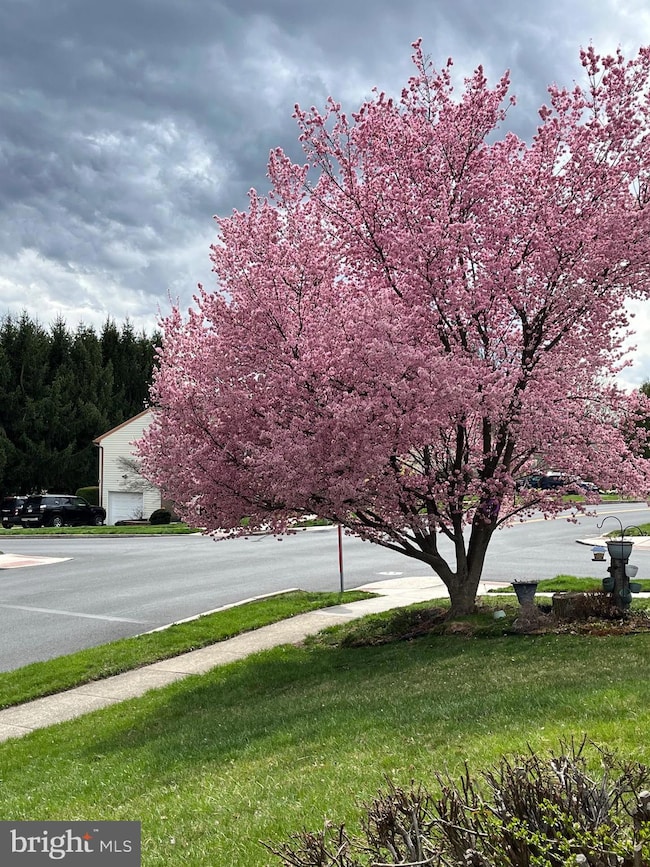 3526 Beech Run Ln, Mechanicsburg, PA 17050 - photo 4