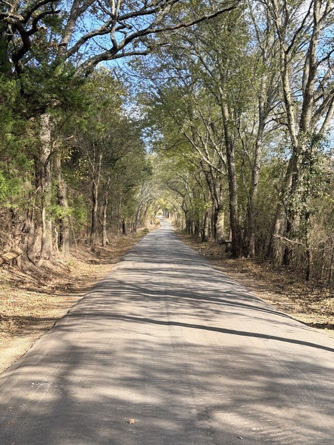Lot #7 Tbd Rs County Road 1150, Emory, TX 75440 - photo 5