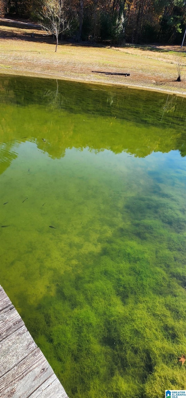 352 Kudzu Rd, Oneonta, AL 35121 - photo 3