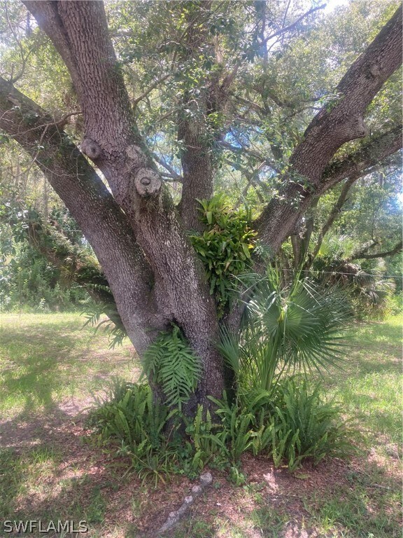 1905 Robert Ave, Lehigh Acres, FL 33972 - photo 6