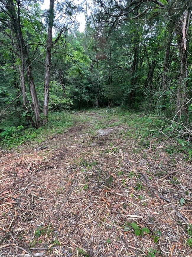 1360 Case Rd, Prospect, TN 38477 - photo 6