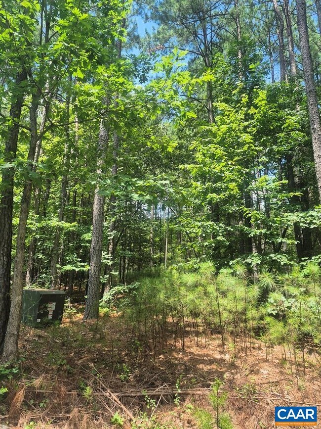 00 Hixburg Rd, Prospect, VA 23960 - photo 2