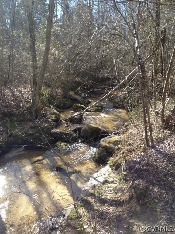 0 Craig Mill unit 1404472, Lunenburg, VA 23944 - photo 3