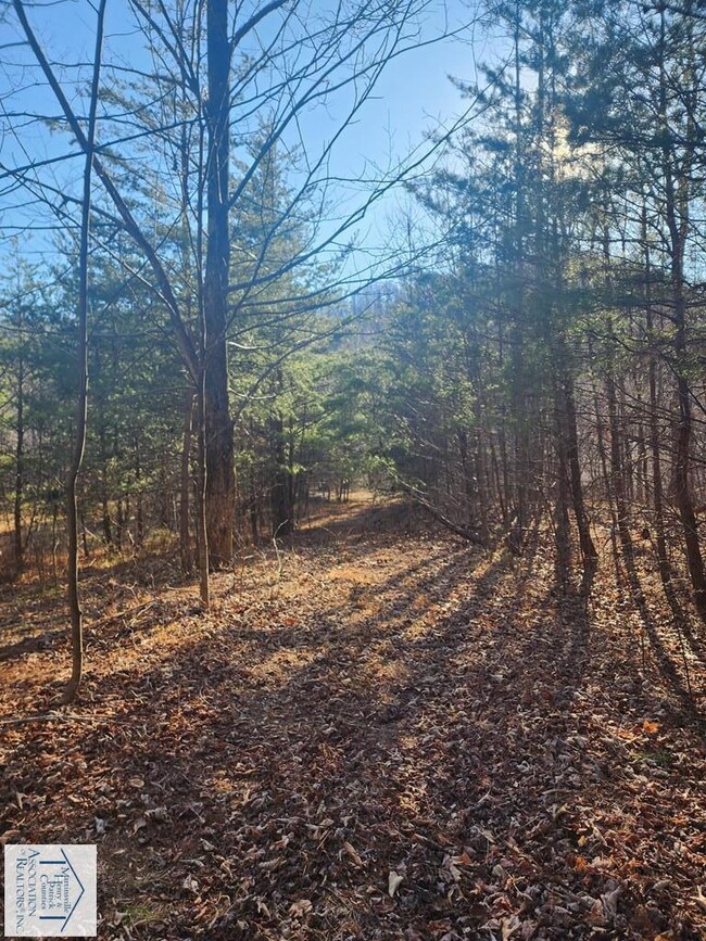 00 Woolwine Hwy, Woolwine, VA 24185 - photo 7