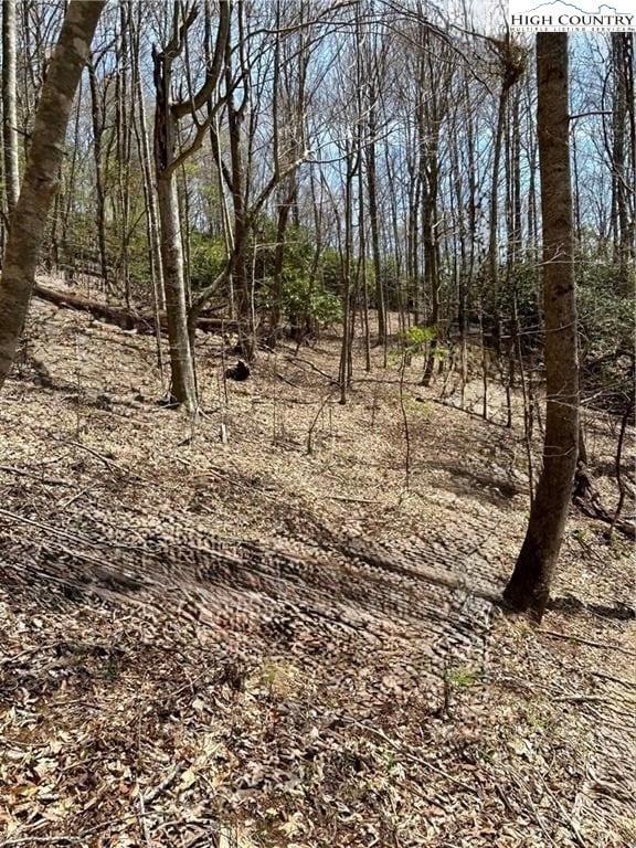 TBD Hwy 88 W, Creston, NC 28615 - photo 4