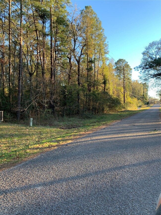 0 Crooked Creek Rd, Hockley, TX 77447 - photo 4