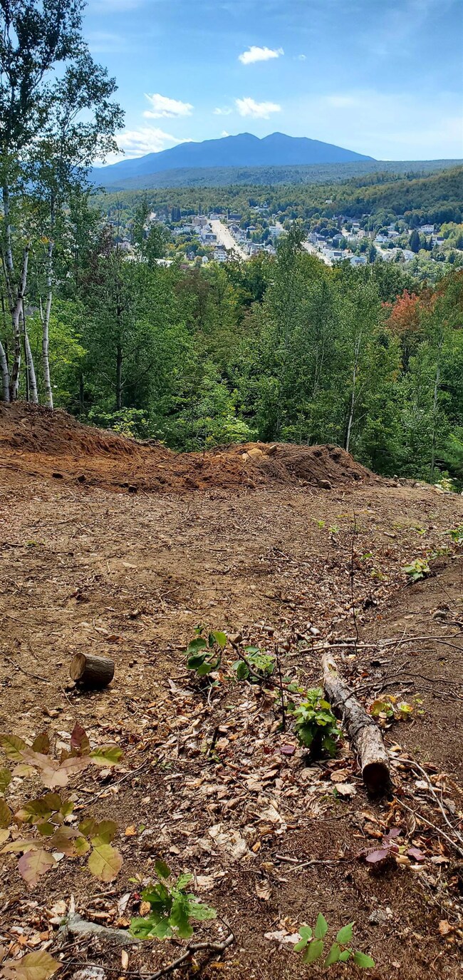 00 Church St unit 60, Berlin, NH 03570 - photo 7