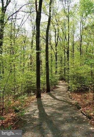 2123 Salt Kettle Way, Reston, VA 20191 - photo 6