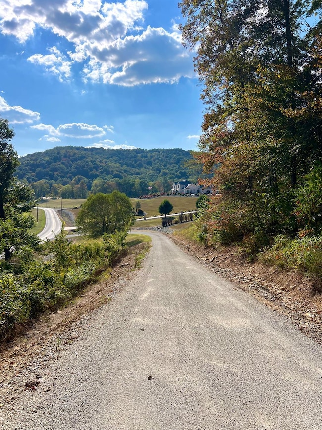 0 St Rt 348 unit 1855893, Jefferson Township, OH 45657 - photo 7