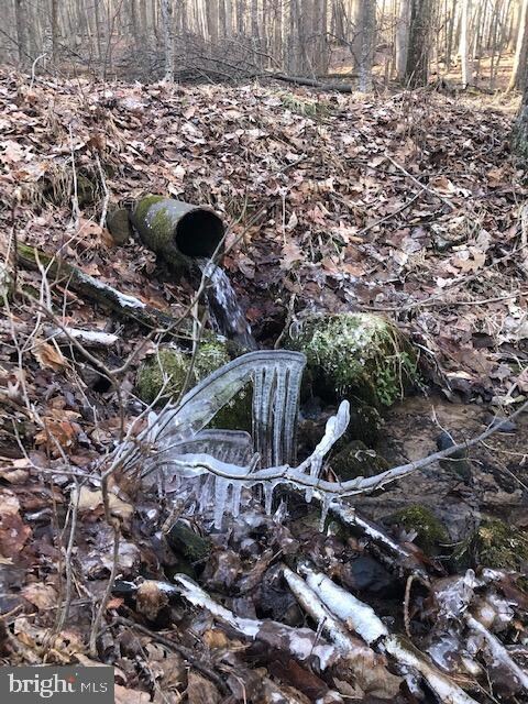 LOT 26D Cove Run Acres Dr, Mathias, WV 26812 - photo 6