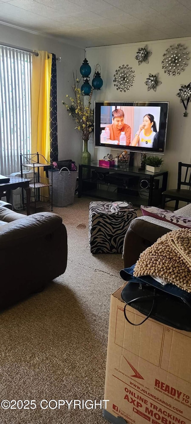 Resized_20250503_144121