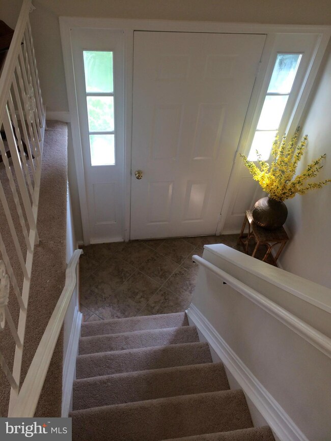 2330 Starcrest Dr, Silver Spring, MD 20904 - photo 5