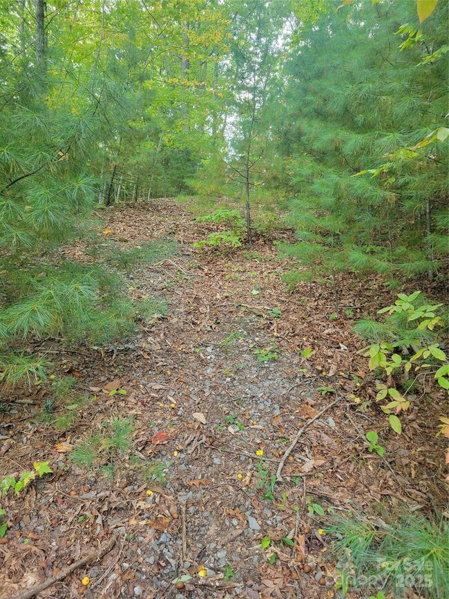 0 Pinewood Dr unit 5, Waynesville, NC 28786 - photo 3