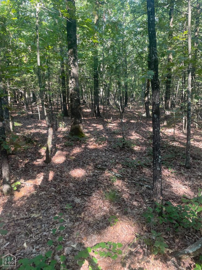 0 SE Rd unit 10123332, Bradford, AR 72020 - photo 7