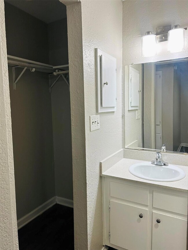 Bathroom with a walk in closet, vanity, a texture