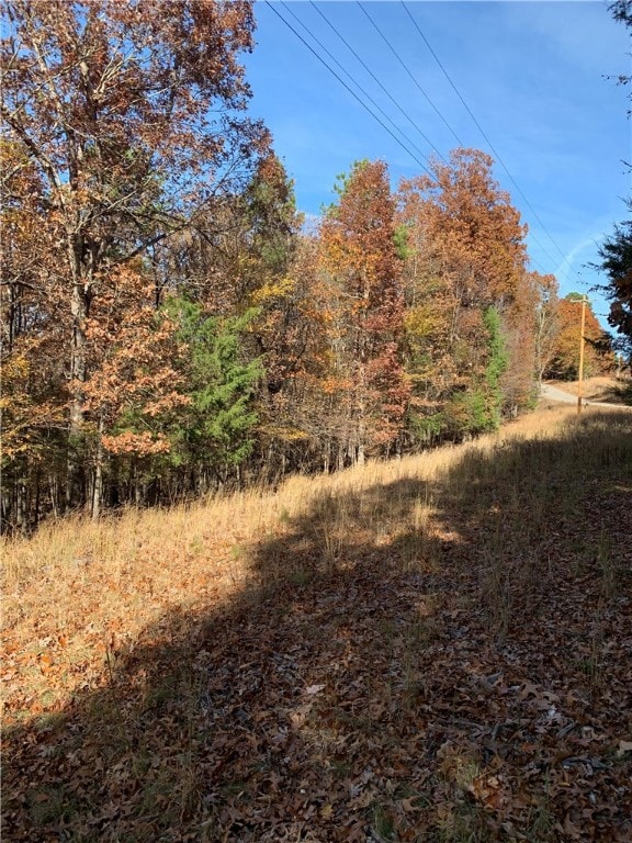 4.32 AC Barzel Point Rd, Rogers, AR 72756 - photo 6