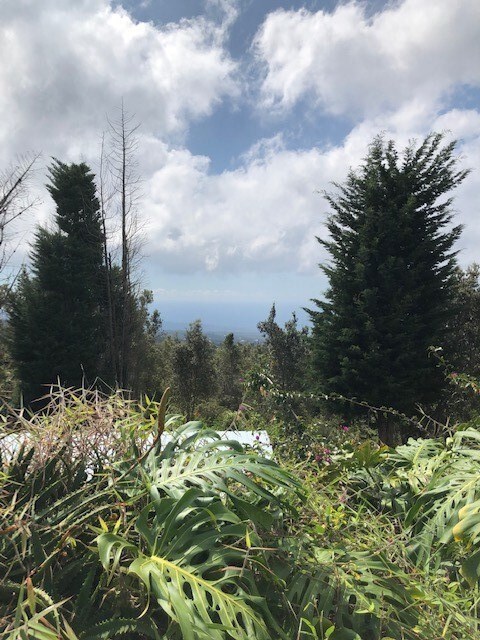 View of ocean from house.