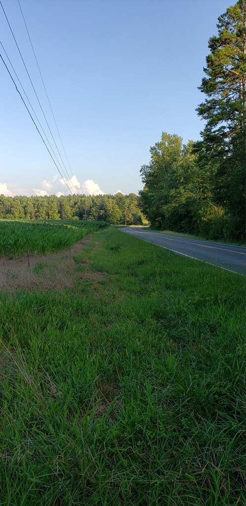 0 N Carolina 87 unit 60025, Pittsboro, NC 27312 - photo 2