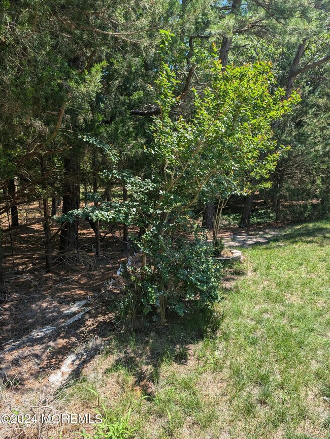 38D Easton Dr unit 61, Whiting, NJ 08759 - photo 3