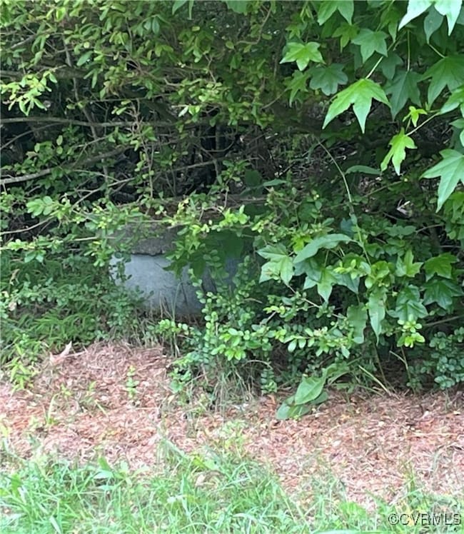 View of covered septic