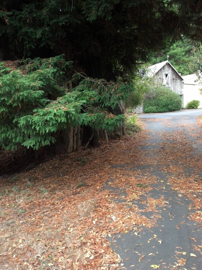 View from bottom of driveway