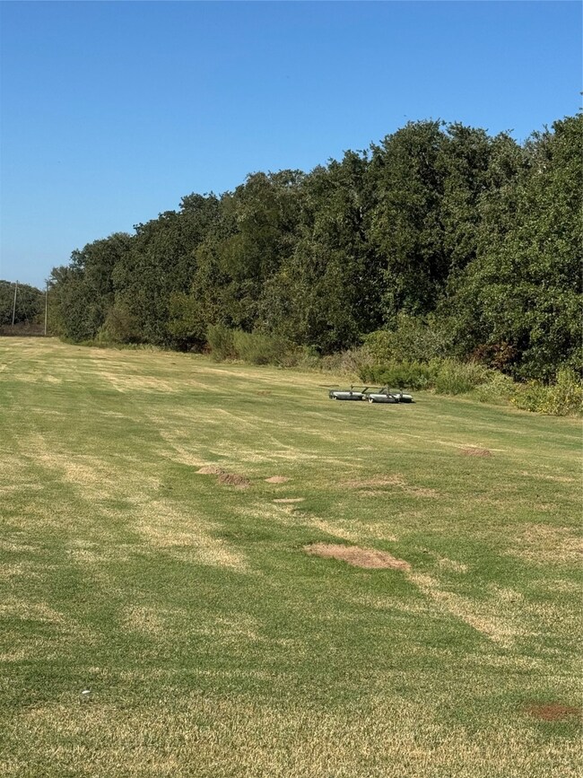 31008 Doe Run Ct, Whitney, TX 76692 - photo 5