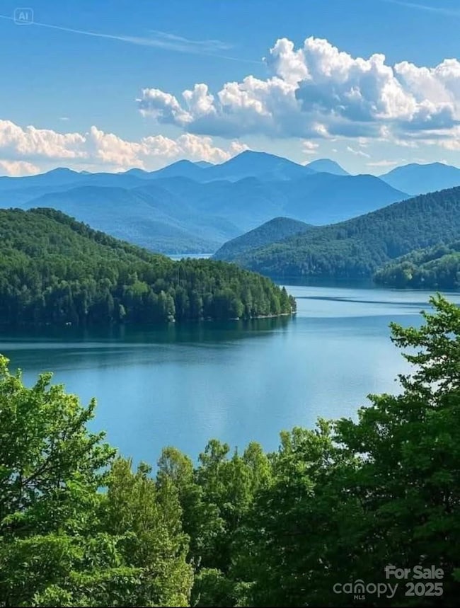 0 Winesap Blvd unit 81 CAR4297611, Lake Lure, NC 28746 - photo 2