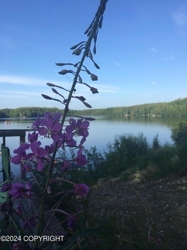 Stephan Lake